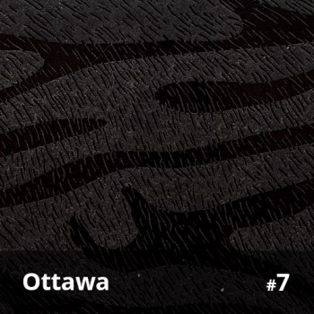 Ottawa 7